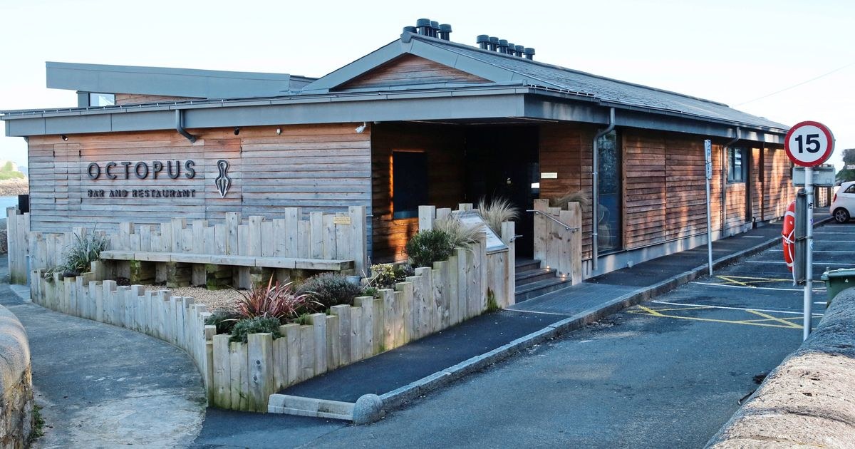 The Octopus bar and restaurant — a low-slung timber-clad building on the seafront with the octopus logo on the wall, a slatted timber screen around the terrace, and the harbour visible behind